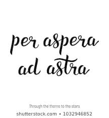 Latin Quotes About Creativity Google Search Latin Love Quotes Latin Quotes Feel Good Quotes