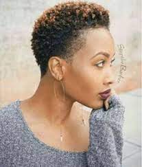 Short Curly Natural Hairstyles For Black Women The Best Short Hairstyles For Women 2017 Short Natural Hair Styles Short Natural Haircuts Natural Hair Styles