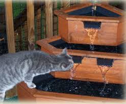 Video of our cats in the catio. Cat Enclosures