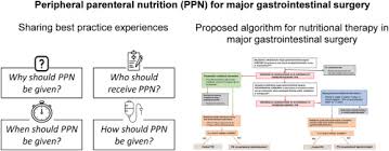 Pingat pangkuan negara, a malaysian honour. Perioperative Peripheral Parenteral Nutrition To Support Major Gastrointestinal Surgery Expert Opinion On Treating The Right Patients At The Right Time Sciencedirect