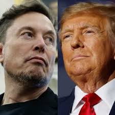 City Approves $3,400 Auction Sale Of Haley Park