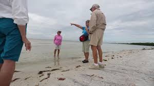 Bunche beach preserve is well known for its shore birds. Bunche Beach Is Walk On The Wild Side
