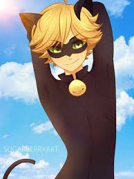 miraculous ladybug ledi bag i super kot的照片 miraculous ladybug funny miraculous ladybug ladybug