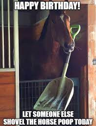 20 Funny Birthday Wishes For Horse Lovers Funny Birthday Wishes