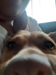 You will need to change this first so others can see your gamerpic instead of the avatar. 360 Dog Irl Xbox360