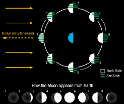 Phases Of The Moon Lunar Cycle Diagram Shapes Pictures