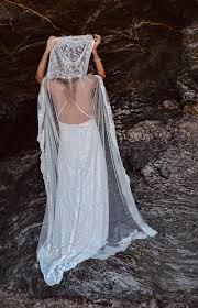 Image result for Bridelia duvigneaudii