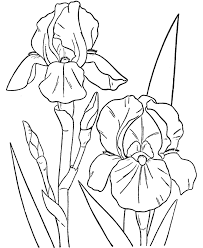 Free Printable Flower Coloring Pages For Kids Best Coloring Pages For Kids Flower Coloring Pages Flower Coloring Sheets Coloring Pictures