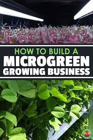 Building A Microgreens Business Microgreens Epic Gardening Microgreens Lawn Care Business Cards Landscaping Business Cards