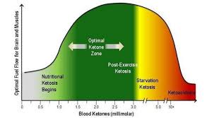 Ketone Levels And Glucose Hcg Diet Metabolic Diet