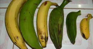 Pin On Cuban Fruit