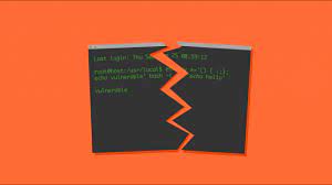 What does shellshock detector check on your mobile device? Tenable Issues Shellshock Detection Plugins Wizard Dashboard Blog Tenable