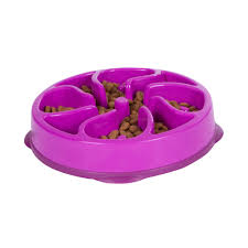 Nina ottosson show and explain how dogworker works, how it. Outward Hound Fun Feeder Flower Purple Cat Bowls 2 Cup Petco