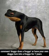 images