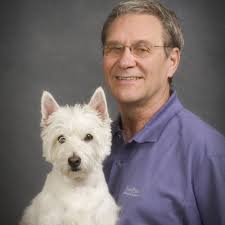 BEST of San Tan Valley, AZ Dog Swimming Pool