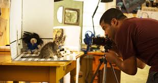 Shop cat mom hoodies and sweatshirts designed and sold by artists for men, women, and everyone. The 43 Best Gifts For Cat Lovers 2020 The Strategist New York Magazine