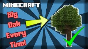 Make sure the entire area you would like to turn into grass is covered in dirt, otherwise it won't work! Minecraft How To Make Dirt Into Grass 1 15 2 Youtube