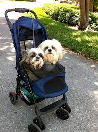 pin by marmar on woof dog stroller dog runs dogs