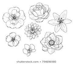 Floral wreath from maria met christuskind (1796) by cornelis ploos van amstel. Ink Pencil Flower Sketch Transparent Background Hand Drawn Nature Painting Freehand Sketching Illust Flower Sketches Flower Sketch Images Hand Drawn Flowers