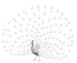 How To Draw A Peacock Draw two ovals for the peacock's head and body. how to draw a peacock