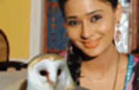 Sara's Lucky White Owl