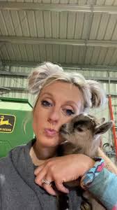 Tiny Blonde Florida Goat