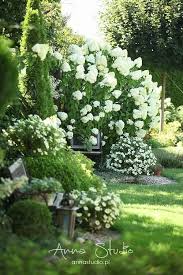 Limonka Lato 2018 Idees Jardin Beaux Jardins Jardins Blancs