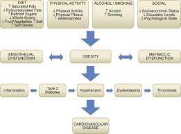 Don't delay your care at mayo clinic featured conditions information and tools for a healthy lifestyle. Lifestyle Choices Risk Factors And Cardiovascular Disease Sciencedirect