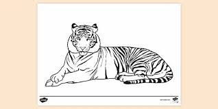 Tiger starts with t coloring page. Javan Tiger Colouring Sheet Colouring Sheet