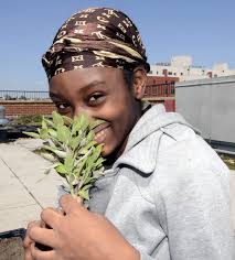 Crotona Park East residents at Intervale Green grow their own dinner