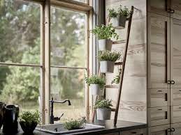 Check spelling or type a new query. Create An Indoor Herb Garden Tips To Grow Your Herbs Architectural Digest
