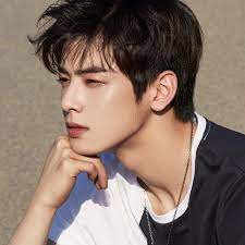 Is cha eun woo most handsome kpop idol? Cha Eun Woo Handsome Korean Idol