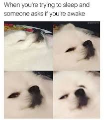 When You Re Trying To Sleep And Some Asks If You Re Awake Meme Ahseeit