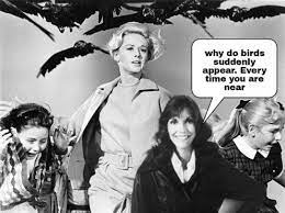 Check spelling or type a new query. Freshagenda On Twitter Why Do Birds Suddenly Appear Everytime We Do Our Outlookblog Outside Nevermind This Week We Re Covering Our Latest Globaldairydirections Quarterly In Just 5 Charts Https T Co T2bffkfcbz Bequietbirds Https T Co