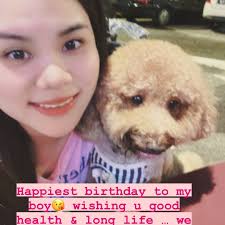 Cody & Cookie (@cody_cookie) • Instagram photos and videos