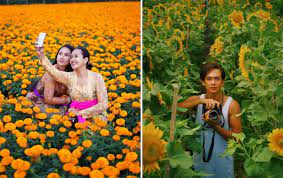 Lokasi berada di dekat kawasan gunung gede pangrango dan kebun teh bogor, sekitar 2 jam perjalanan dari kota jakarta. 6 Pilihan Wisata Kebun Bunga Kece Di Indonesia Untuk Yang Suka Selfie