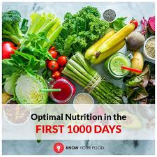 Optimal Nutrition In The First 1000 Days Nutrition Healthy Diet Healthy