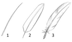 Easy Things To Draw When You Are Bored Free Drawing Lessons Easy Drawings Feather Drawing Cute Easy Drawings