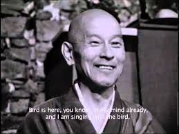 A Pearly Rolling across a Table