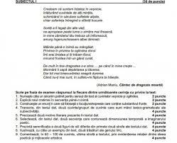Subiectele și baremele vor fi publicate pe bacalaureat.edu.ro și pe dcnews.ro. Bacalaureat 2016 Barem Romana Edu Ro Subiecte Rolul Lecturii La Uman Al Jocurilor La Real