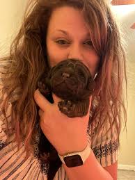 Eastwood English Labradors