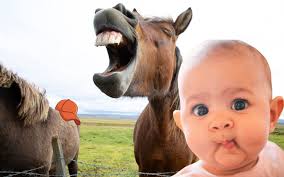 So Far From Grace, We Might as Well Laugh to Keep From Crying