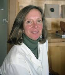 Fall 2022 newsletter