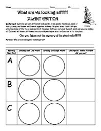 Click the thumbnail to see the larger version. Mystery Plant Cell Microscope Lab By Middle School Frizz Tpt