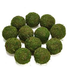 Amazon Com Byher Decorative Ball Natural Green Moss Handmade 3 5 Set Of 6 Arts Crafts Sewing Natural Holiday Decor Moss Balls Vase Fillers