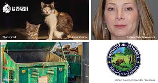 Prosecutor Refuses to Re-File Charges for Men Who Cruelly Killed Cats in a  Trash Compactor in Indiana