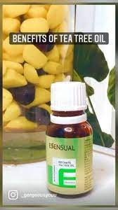 Https Gorgeousdotyou Wordpress Com 2021 05 16 Tea Tree Oil And Its Benefits Pinterest