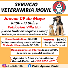Veterinaria Villa Sur