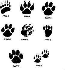 Pin By Stacy Hawkins On Stacy Bear Paw Tattoos Paw Print Drawing Tiger Paw Print