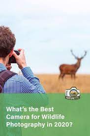 The Best Camera For Wildlife Photography Wildlife Photography Camera Photography Best Camera